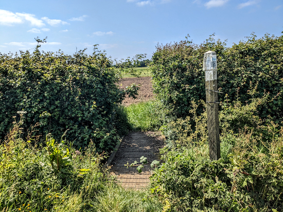 Essendon footpath 8 goes the hedgerow and across a wooden footbridge