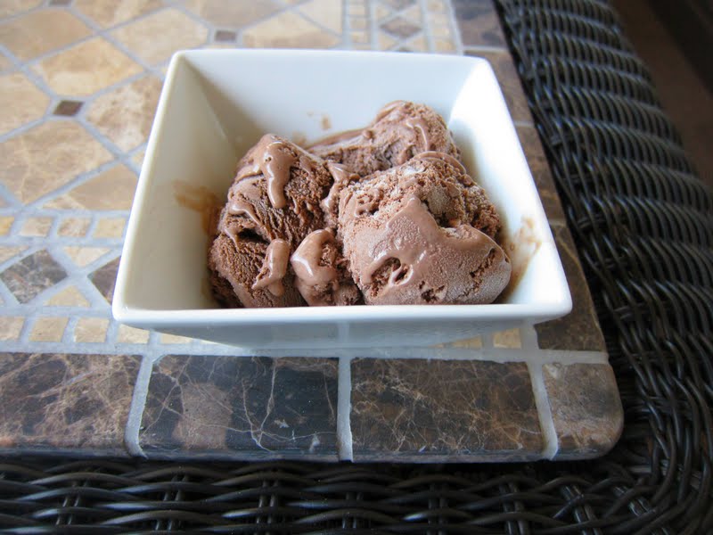Homemade Chocolate Ice Cream Phenomenal
