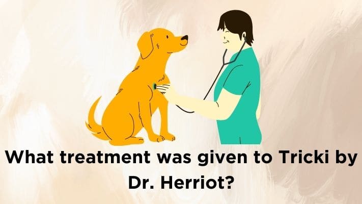 What treatment was given to Tricki by Dr. Herriot