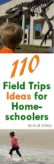 Beyond the Museum- 110 Field Trip Ideas from In Our Pond