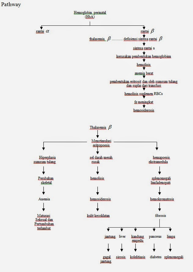 Askep Anak Dengan THALASEMIA