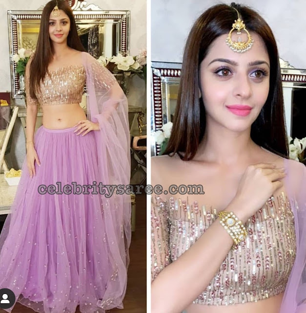 Vedika Deisgner Netted Lehenga