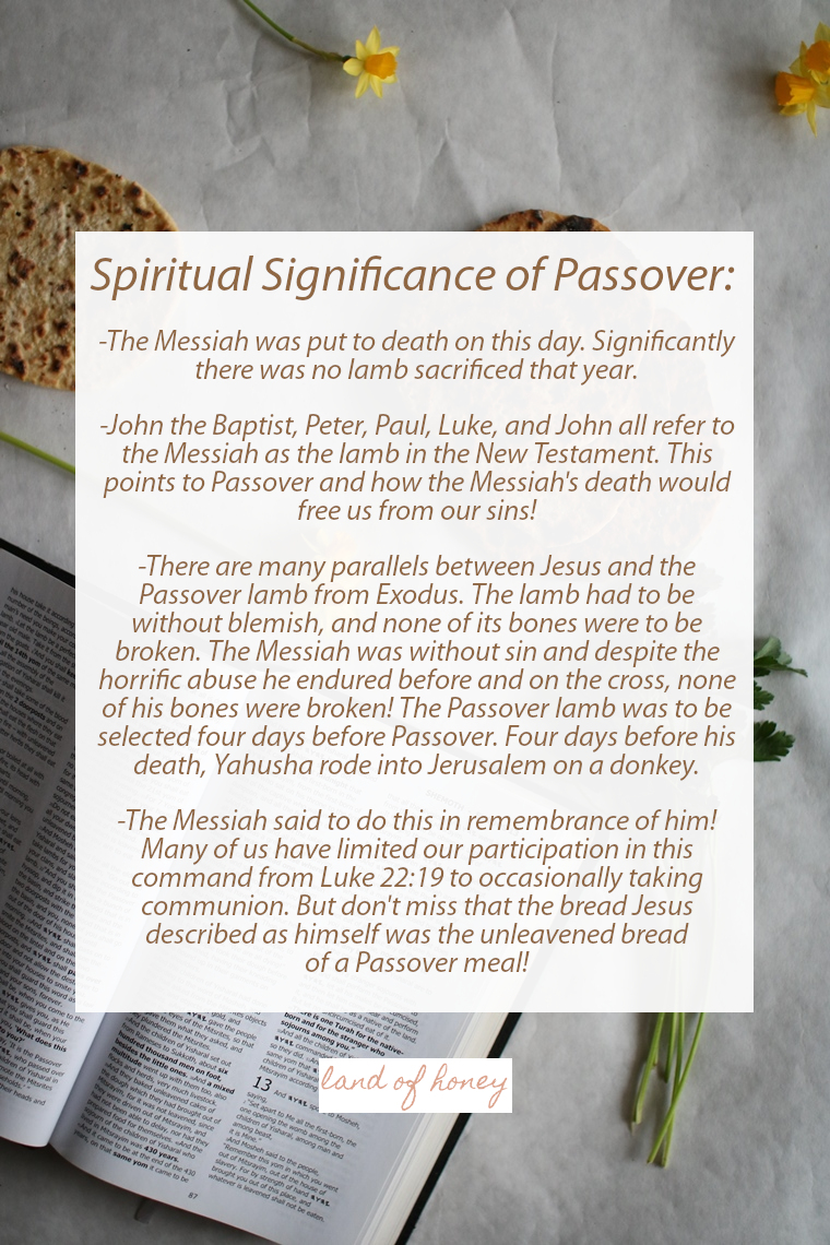 Spiritual significance of Passover for believers in Messiah - beginner's guide to keeping Passover | Land of Honey