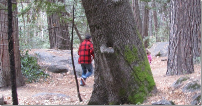 yosemite 062