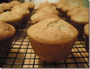 multigrain apple muffins