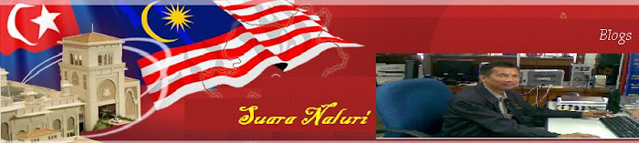 Suara Naluri