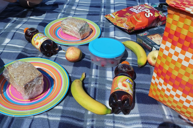 Picnic in the Park - Stewart Park Middlesbrough