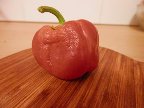 Home grown pepper www.secondhandsusie.blogspot.co.uk