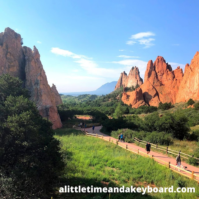 Garden of the Gardens is striking immediately upon entering the preserve.