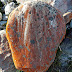 The Braided Rivers Project; the beauty of stone