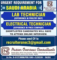 jobs in saudi arabia