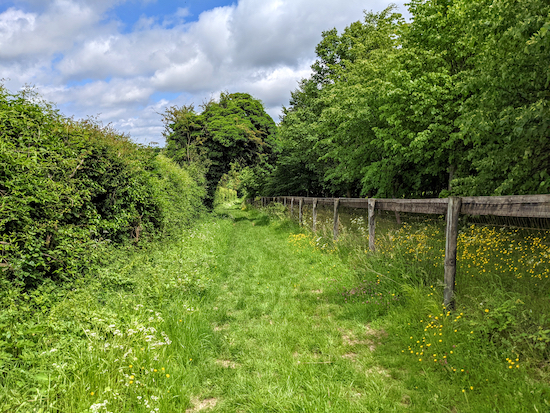 Barkway bridleway 17 heading N