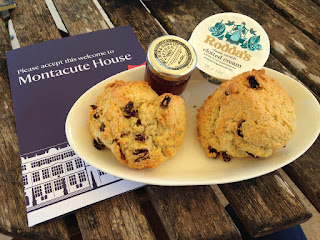 Montacute scones