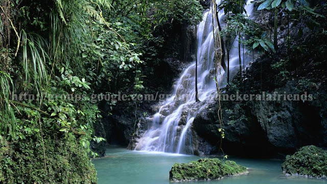 Somerset Falls, Port Antonio, Jamaica