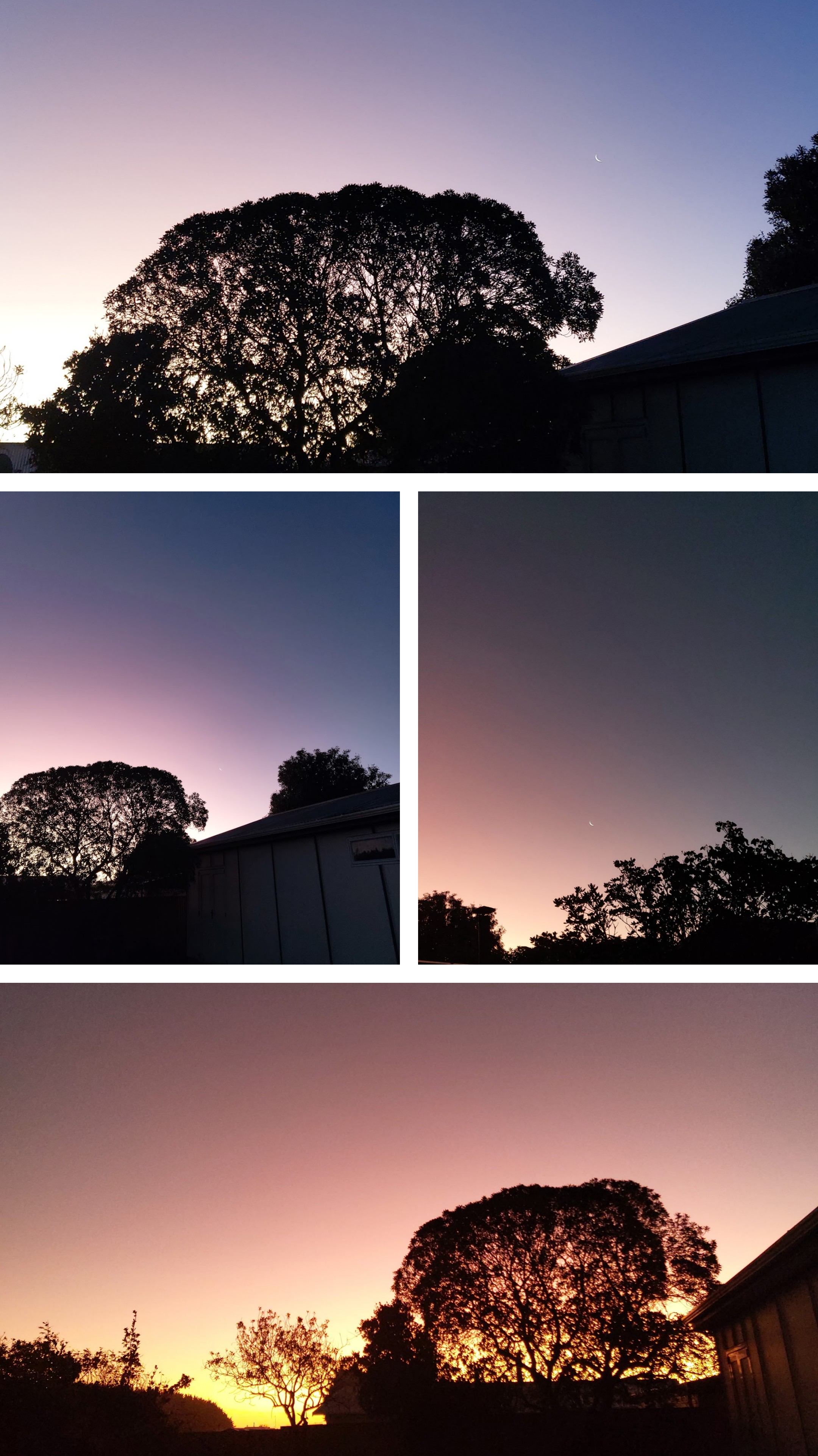 Collage of 4 sunset photos of the sky changing colour from blue, to purple, then flaming orange.