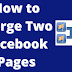 7 Reasons You Can't Merge Facebook Business Pages