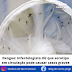 Dengue: Infectologista diz que sorotipo em circulação pode causar casos graves