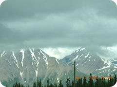 DSCN5395