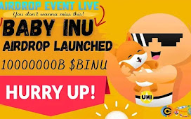 Baby INU Airdrop and Presale Live