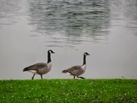 IMG_8141