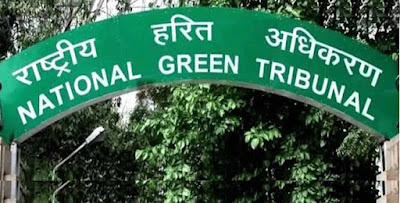 National Green Tribunal, Shimla, Himachal Pradesh, Himachal News