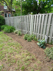 New Backyard Perennial Garden Installation After in Toronto's The Junction by Paul Jung Gardening Services--a Toronto Gardening Company