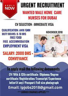 Wanted Nurse Dubai 