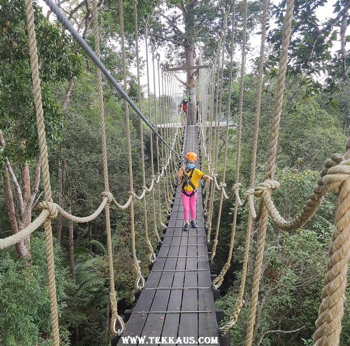 Penang Hill Suspended Rope Bridge Jungle Walk