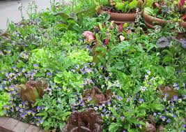 Servicing of Medical Gas Plant Could Be a Casualty of the Recent Government Cuts! Servicing of Medical Gas Plant Could Be a Casualty of the Recent Government Cuts!