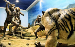 Museum Sangiran, Situs Pirbakala Terbesar di Indonesia