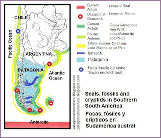 seals, cryptids and fossils