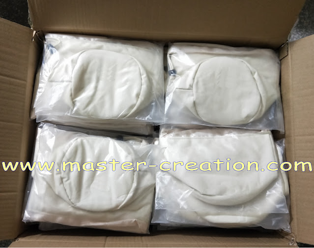 bags in carton before sealing