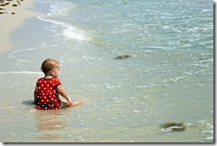 IMG_3692 copy