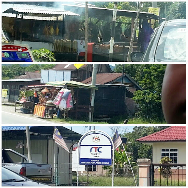 2 Resipi Itik Salai Yang Mudah !