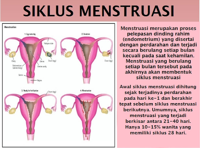 sabun kewanitaan rekomendasi dokter