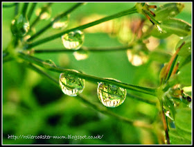 water droplets