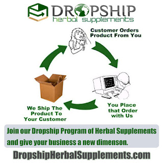 Drop Shipping Companies