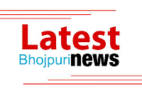 Bhojpuri News, Bhojpuri News in Hindi, Latest Bhojpuri Cinema News, Bhojpuri News Gossip, Bhojpuri Latest Hindi News, Bhojpuri Breaking News