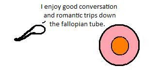 Sperm Meets Egg - I enjoy good conversation and romantic trips down the fallopian tube