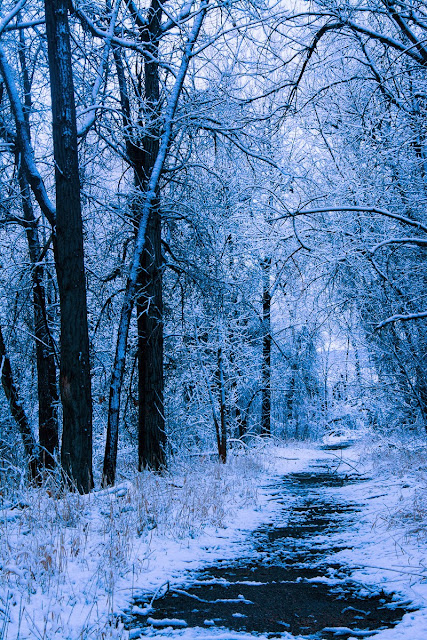 Chatfield State Park