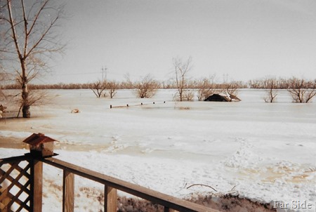 Back yard of water