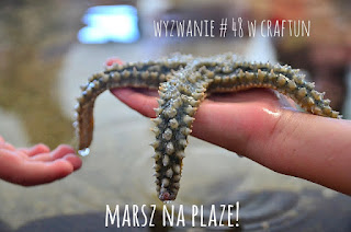 http://craftfunsklep.blogspot.com/2016/06/wyzwanie-48-marsz-na-plaze.html