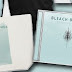 Bleach Blonde - Starving Artist (Album Artwork/New Song)