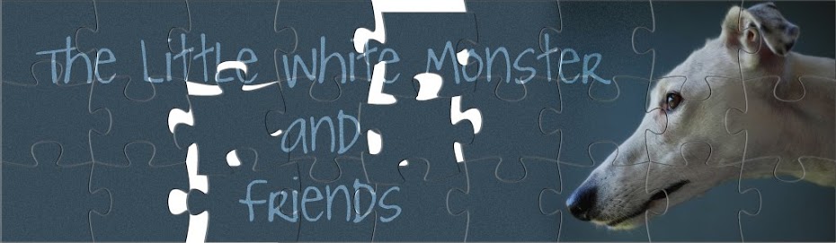The Little White Monster and friends