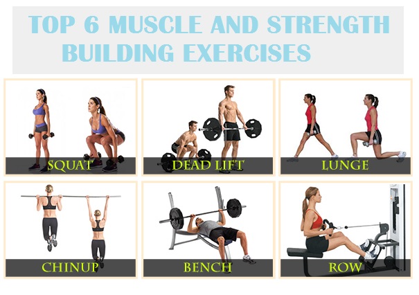 Best Muscle Building Workout