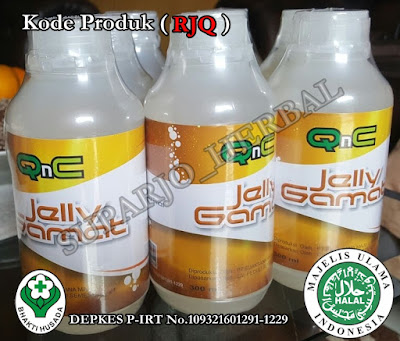 Obat Tradisional Jelly Gamat QnC