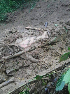 38 killed in Darjeeling landslides, flood in Jalpaiguri