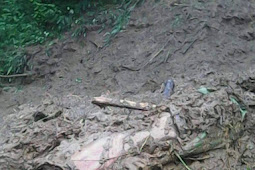 38 killed in Darjeeling landslides, flood in Jalpaiguri