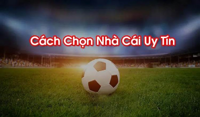 Kinh nghiệm lựa chọn nhà cái uy tín