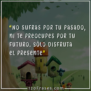 frases 15